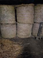 Hooi te koop, Dieren en Toebehoren, Ophalen