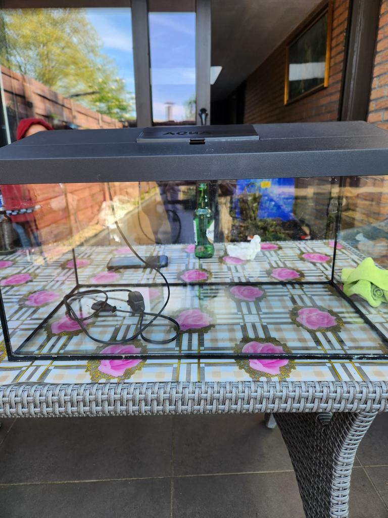 Aquarium vissen, Vis