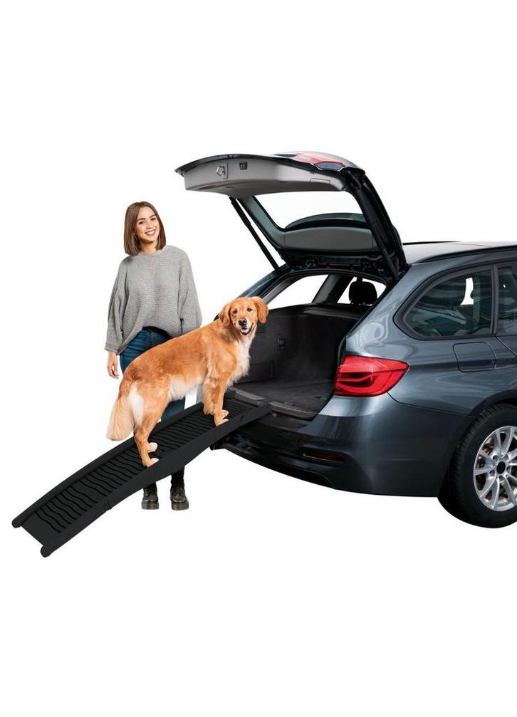 Rampe pour chiens jusqu'à 40 kg, Animaux & Accessoires, Accessoires pour chiens, Utilisé, Enlèvement