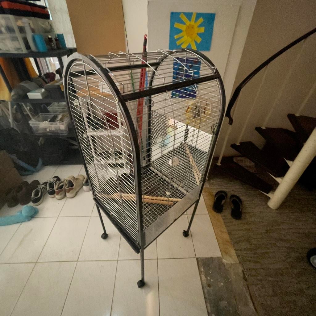 papegaaien kooi voor middel grote papagaai, Perroquet