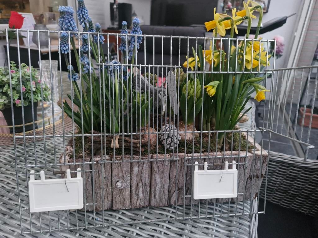 voorfrontjes heesakkers kooien, Dieren en Toebehoren