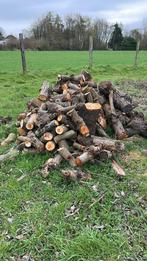 Brandhout, Tuin en Terras, Ophalen, Berkenhout, Stammen