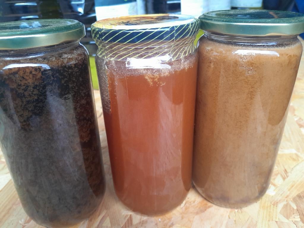 Miel Pure d'Espagne, Divers, Produits alimentaires, Enlèvement