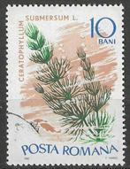 Roemenie 1966 - Yvert 2231 - Waterplanten (ST), Verzenden, Gestempeld