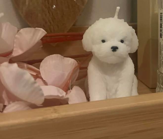 Kaarsje zelfgemaakt, Maison & Meubles, Accessoires pour la Maison | Autre, Enlèvement, Neuf