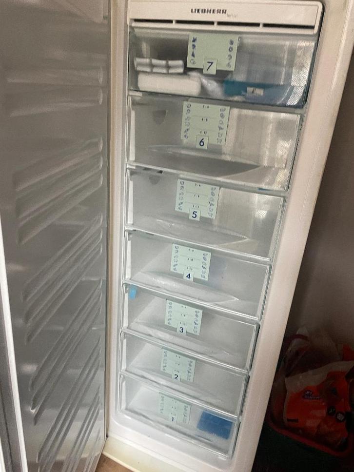 diepvrieskast no frost liebherr, Electroménager, Congélateurs, Utilisé, Autoportant, Congélateur, Congélateur, 140 à 160 cm, Moins de 60 cm