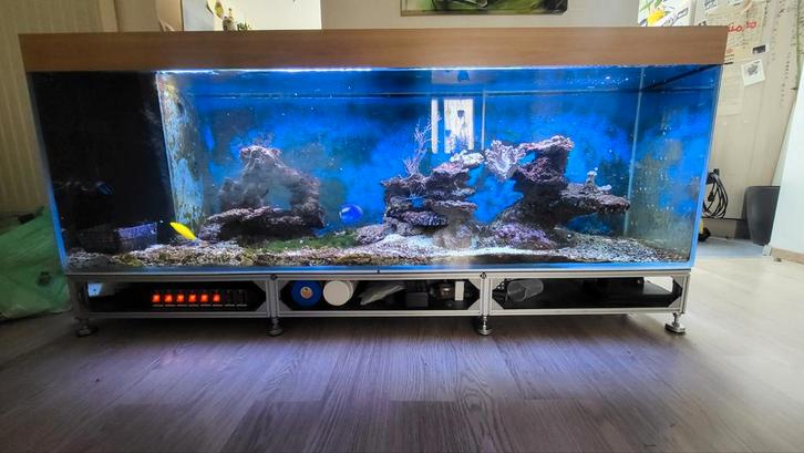 Aquarium complet, Animaux & Accessoires, Poissons | Aquariums & Accessoires