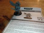 Warhammer 40K - Space Marines, Ophalen of Verzenden, Zo goed als nieuw, Warhammer, Figuurtje(s)