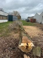 Propose mes services d’entrepreneur, Jardin & Terrasse, Enlèvement