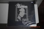 LP : David Isaacs - Till I can't take it (Reggae), Ophalen of Verzenden, Gebruikt