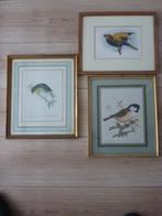 3 Ingekleurde kunstdrukken - vogels, Antiek en Kunst, Kunst | Etsen en Gravures, Ophalen of Verzenden