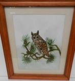 Aquarelle OWL signée F. Wood, Enlèvement ou Envoi