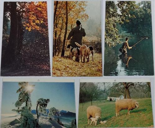Postkaarten Landschappen - Visvangst - Jacht, Verzamelen, Postkaarten | België, Ongelopen, Ophalen of Verzenden