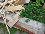 Stookhout, Tuin en Terras, Brandhout, Ophalen