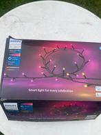 Philips hue festavia 100 leds, Tuin en Terras, Buitenverlichting, Ophalen, Zo goed als nieuw