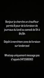 Chauffeur permis B