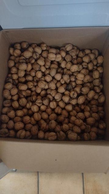Biologische noten 5€/kg  beschikbaar voor biedingen