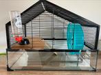 ️Grote hamsterkooi️, Animaux & Accessoires, Rongeurs, Hamster