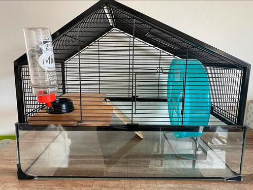️Grote hamsterkooi️, Animaux & Accessoires, Rongeurs, Hamster