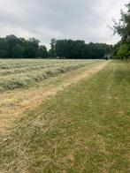 Midibalen voordroog, Zakelijke goederen, Landbouw | Veevoer, Ophalen of Verzenden