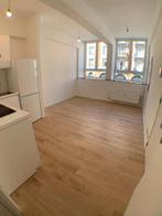 Appartement à louer à Bruxelles, 1 chambre, Immo, Maisons à louer, 190 kWh/m²/an, 1 pièces, Appartement, 50 m²