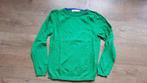 groene dunne trui Filou en Friends maat 140, Kinderen en Baby's, Kinderkleding | Maat 140, Trui of Vest, Filou & Friends, Ophalen of Verzenden