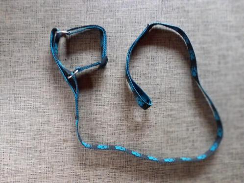 Hondenriem ideaal om te gebruiken in de hondenschool, Dieren en Toebehoren, Hondenriemen, Zo goed als nieuw, Hondenriem, Ophalen of Verzenden