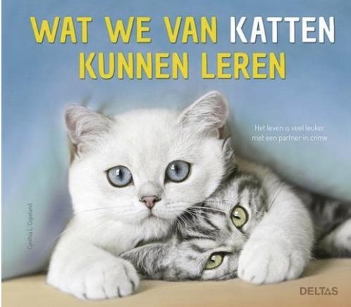 Wat we van katten kunnen leren, Cynthia L. Copeland, Boeken, Dieren en Huisdieren, Zo goed als nieuw, Katten, Verzenden