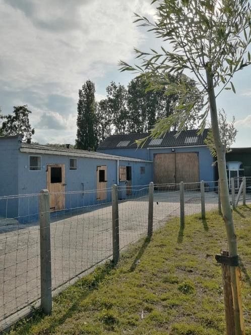 Paardenstalling te huur, Dieren en Toebehoren, Paarden