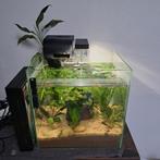 Aquarium 30l a vendre, Ophalen, Zo goed als nieuw, Leeg aquarium