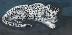 Yutaka Sone - Seems like snow leopard, Enlèvement