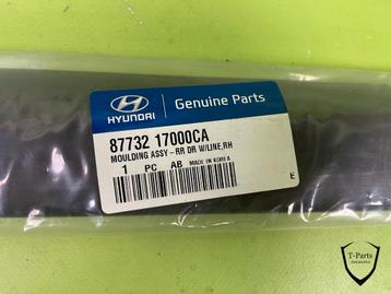 hyundai matrix rechts deur portier 87732 17000CA lijst 87732 beschikbaar voor biedingen