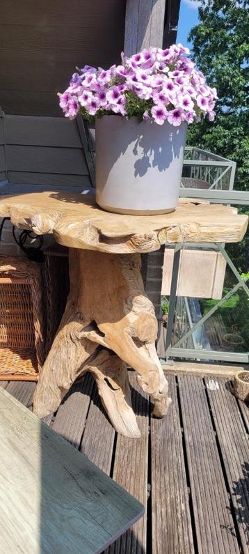 rustieke boomstam bartafel / ophalen te Sint Niklaas beschikbaar voor biedingen