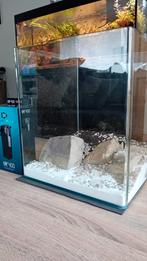 Aquarium Q4 50L 35x35x40cm, Ophalen, Zo goed als nieuw