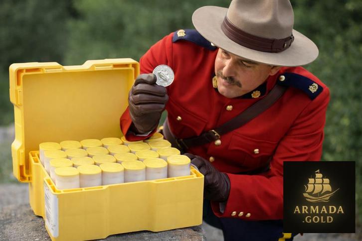 Boîte à monstres Maple Leaf 🔘🔘🔘 500 x 1 once troy, Timbres & Monnaies, Métaux nobles & Lingots, Or, Enlèvement