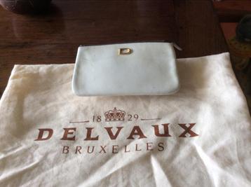 Delvaux klein accessoire wit