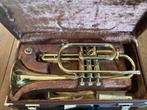 YCR 231 Yamaha cornet NIEUW, Muziek en Instrumenten, Ophalen of Verzenden, Nieuw, Overige typen, Met koffer