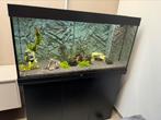 Aquarium avec filtre et poissons, Animaux & Accessoires, Enlèvement ou Envoi, Comme neuf