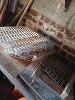 Duiven matraal, Ophalen