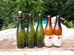 Oude vintage bierflessen brouwerij Desplenter Riva Dentergem, Verzamelen, Biermerken, Ophalen of Verzenden, Gebruikt
