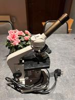 Microscoop euromex, Audio, Tv en Foto, Optische apparatuur | Microscopen, Ophalen of Verzenden, Gebruikt, Biologische microscoop