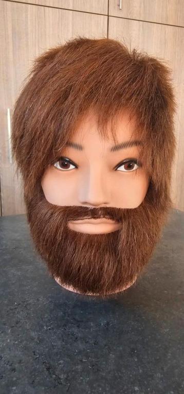 4 oefenhoofden  beschikbaar voor biedingen