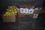 Balles de Tennis pour votre entrainement, Ophalen, Gebruikt, Ballen, Babolat