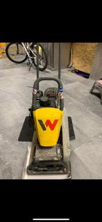 Plaque vibrante, Enlèvement, Utilisé, Autres types, Wacker neuson