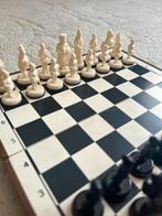 Magnetisch schaakbord in goede staat (20x20cm), Reisspel, Een of twee spelers, Ophalen of Verzenden, Zo goed als nieuw