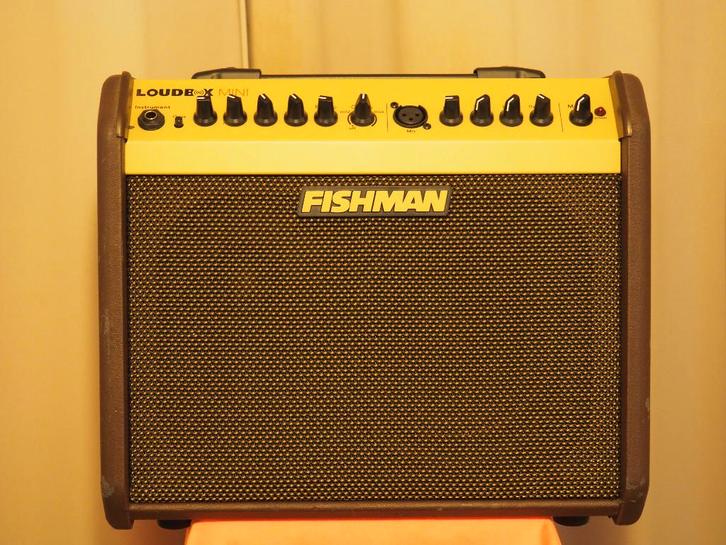 FISHMAN  LOUDBOX  MINI, Musique & Instruments, Amplis | Basse & Guitare, Utilisé, Guitare, 50 à 100 watts, Enlèvement ou Envoi