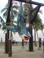 Jumbo Haai 630 cm - haaienbeeld
