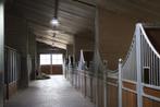Pensionstal/ stal te huur / stalling, Stalling, 4 paarden of pony's of meer