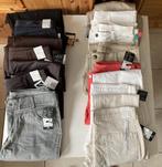 Pantalon dame neuf (44/46) et (46/48) - différents choix, Enlèvement, Neuf, Taille 46/48 (XL) ou plus grande