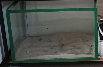  Kleine aquarium. beschikbaar voor biedingen